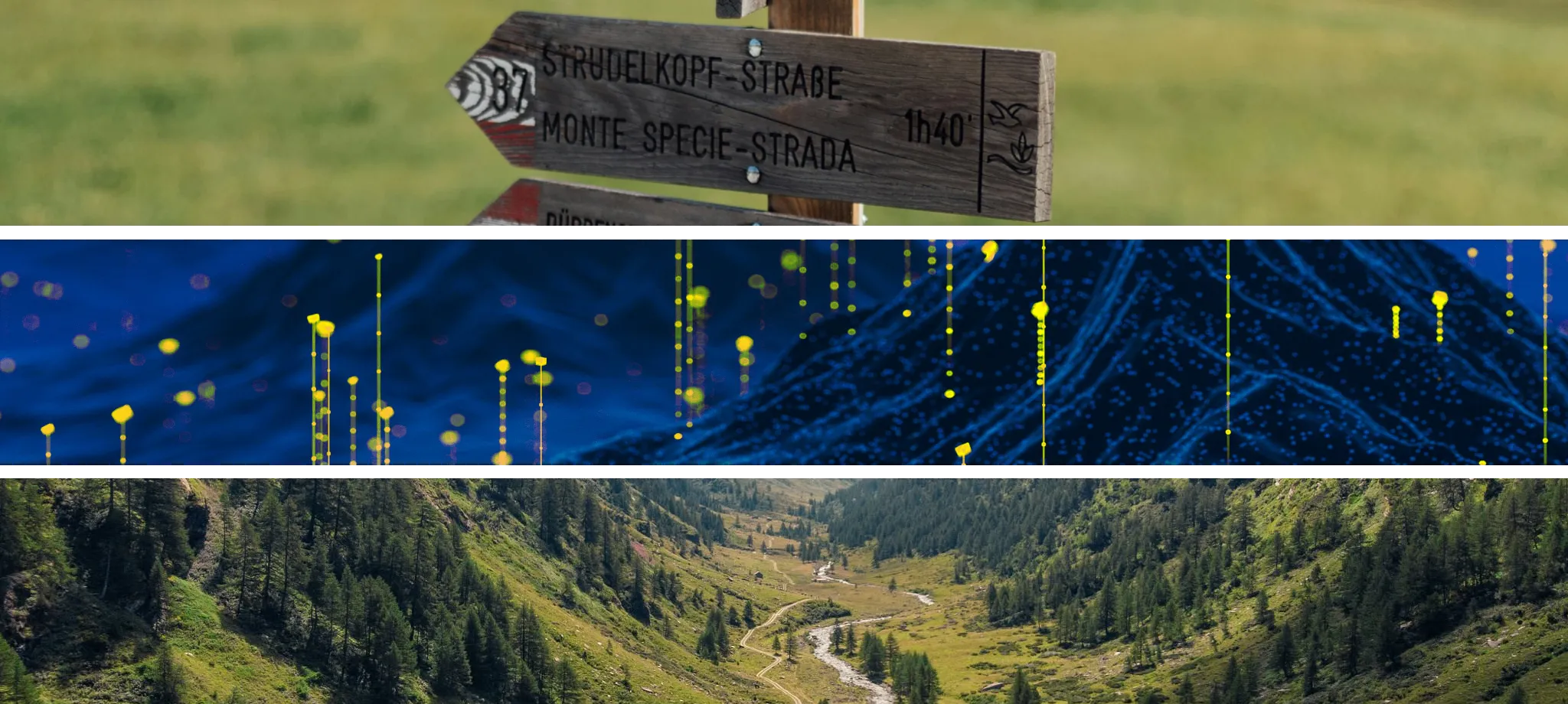 Unsere Leistungen